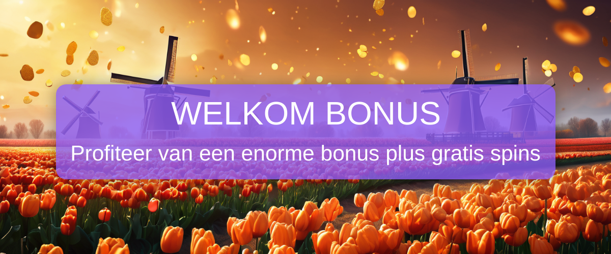 Evolve Casino Nederland